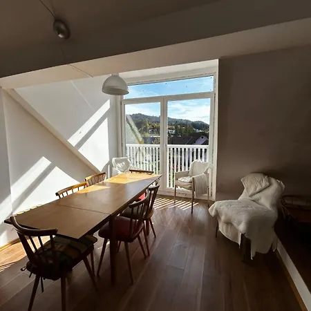 Apartment Nur 3 Min Zu Skilift & 5min Zum Mitterbach